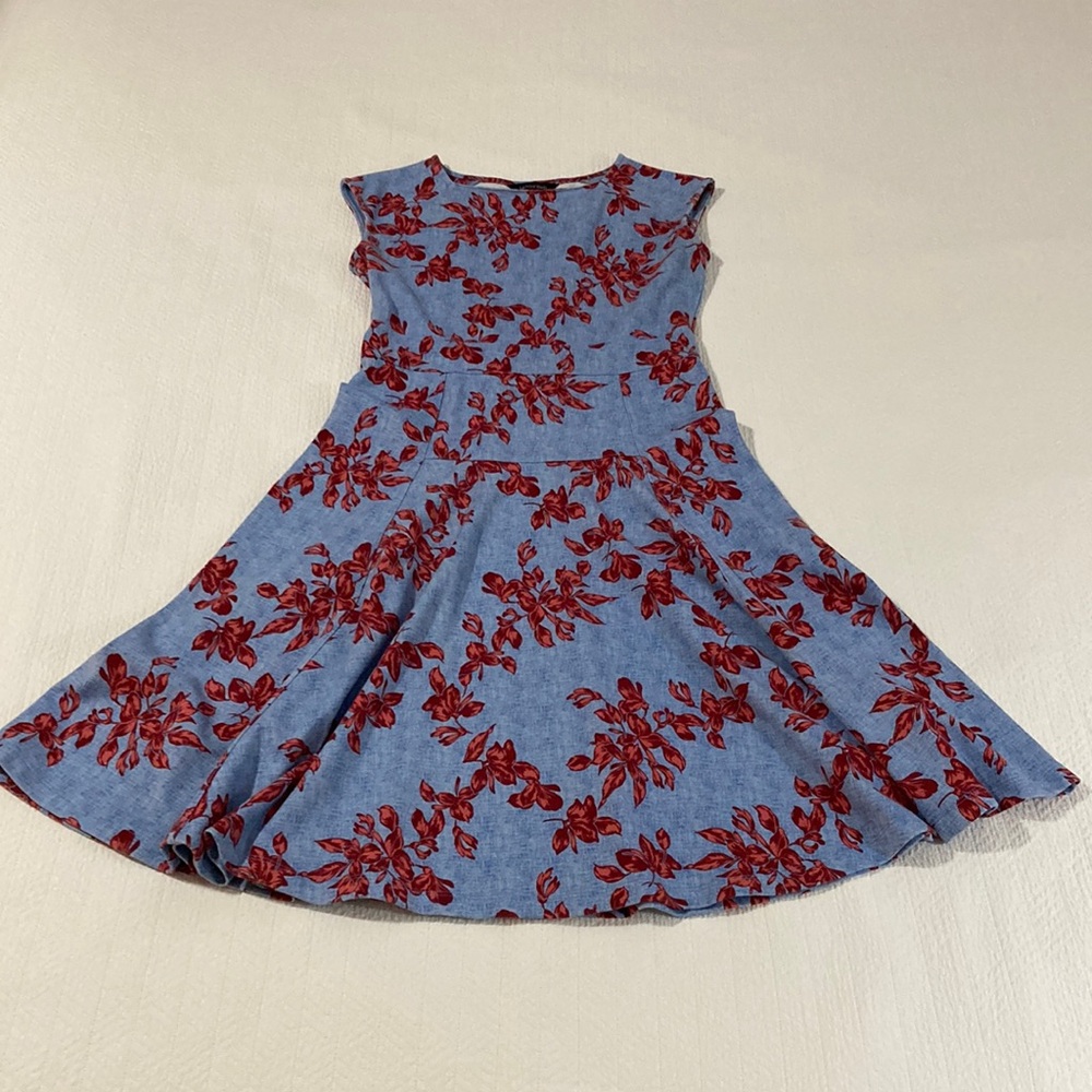 Beautiful blue and red floral dress